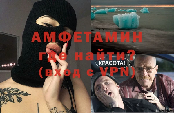 стаф Алексин