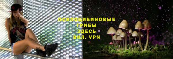амф Алексеевка