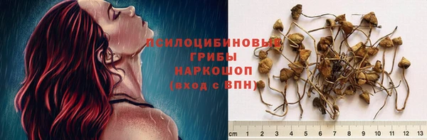 стаф Алексин